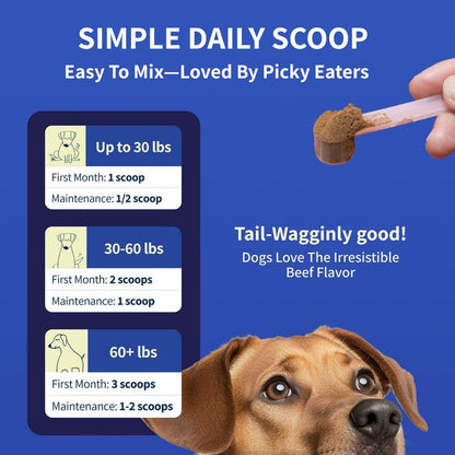 Dog Multivitamin Supplement