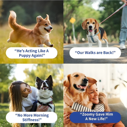 Dog Multivitamin Supplement