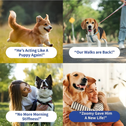 Dog Multivitamin Supplement
